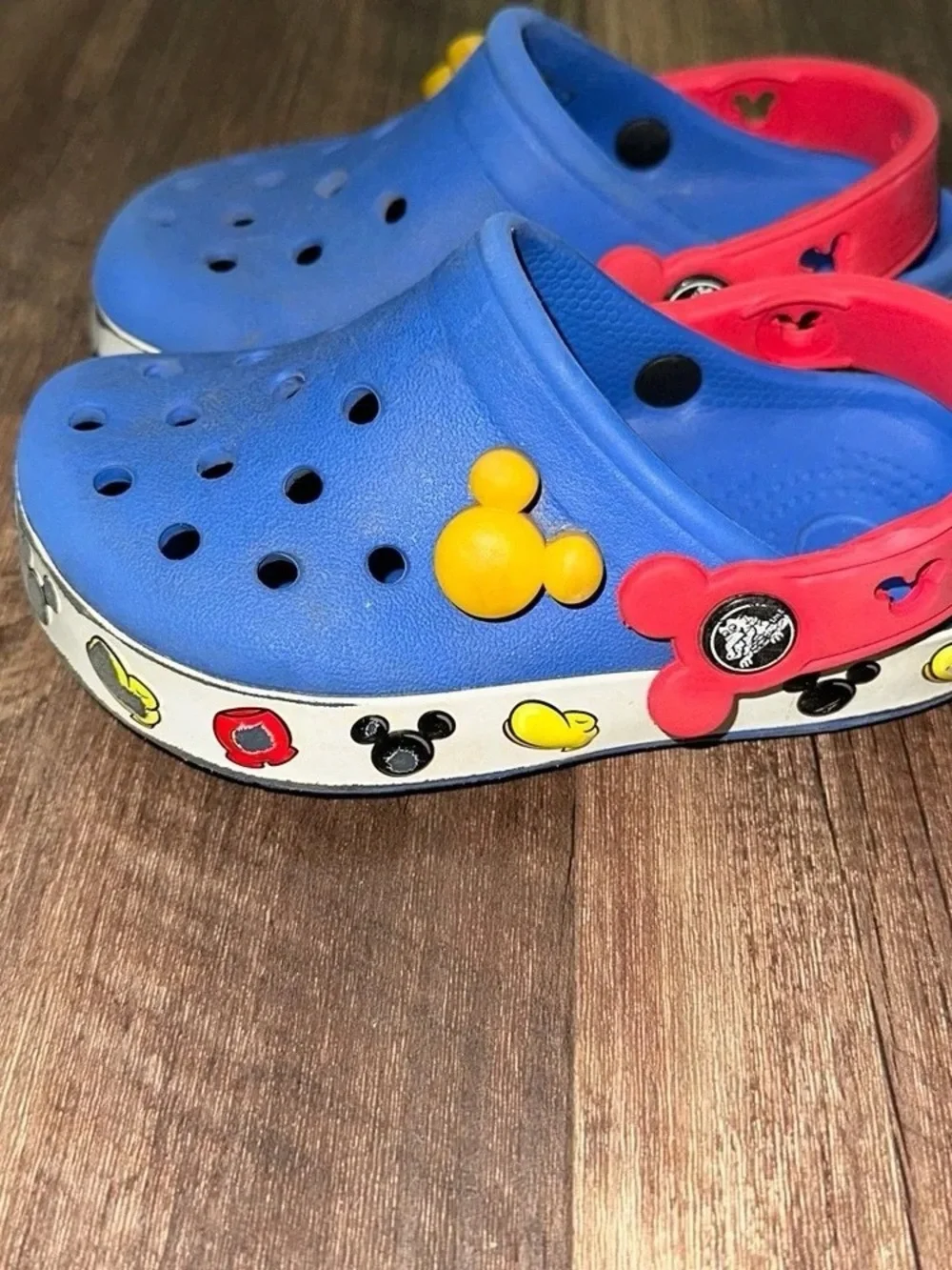 Kids Blue and Red Clog Sandals with Character Trim
